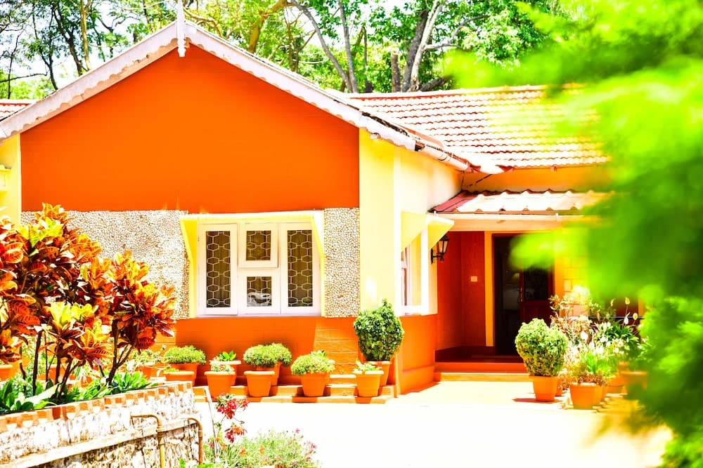 Niraamaya Private Home Stay Chikmagalur
