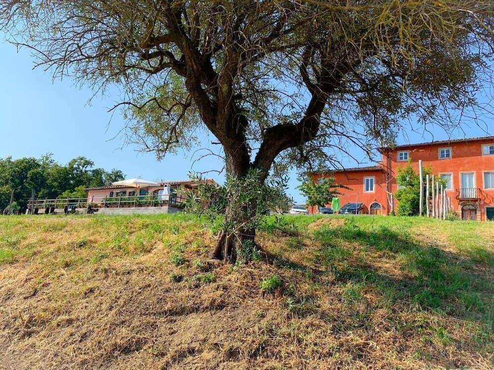 Konaklama yeri alanı