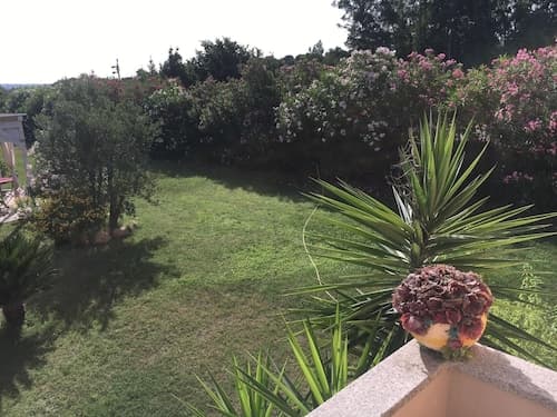 Vialla Daniela