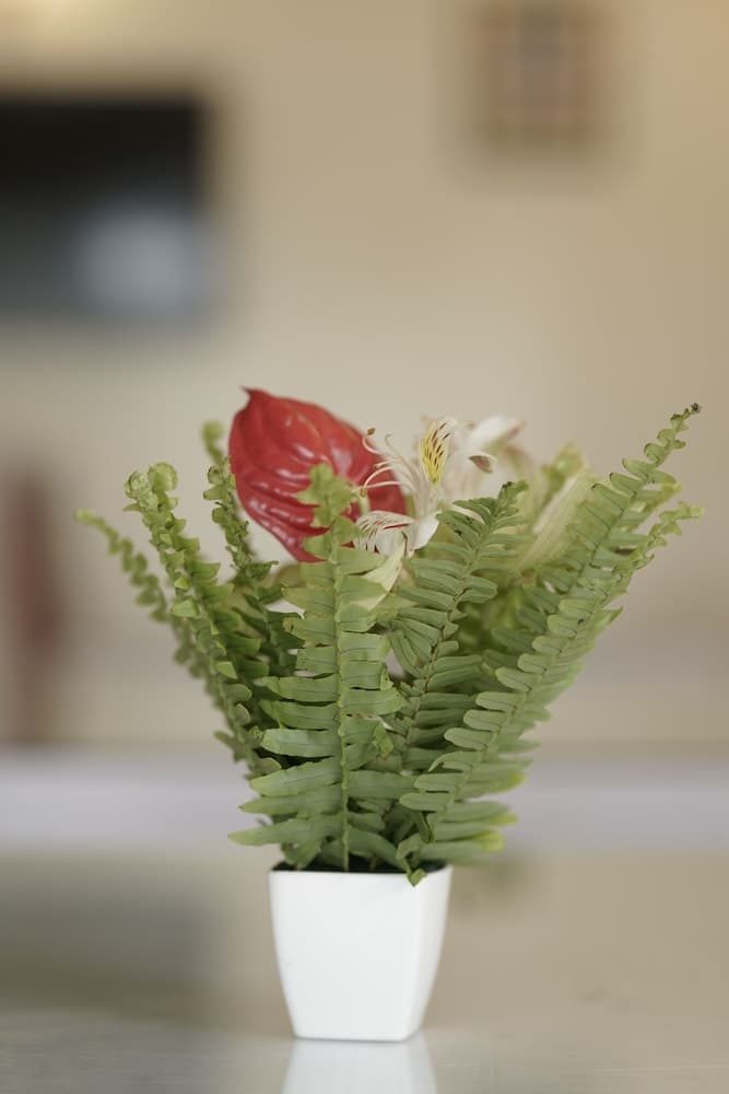 Misson Valley Kalimpong