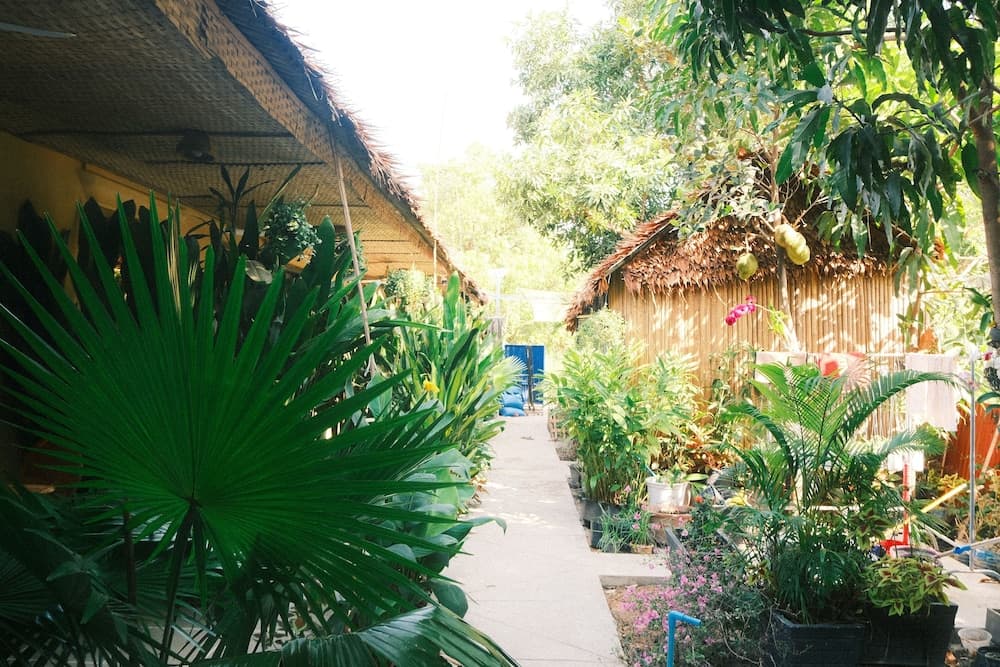 Siem reap Homesteading II