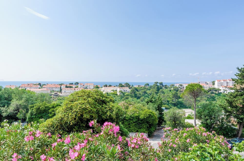 Konaklama yerinden manzara