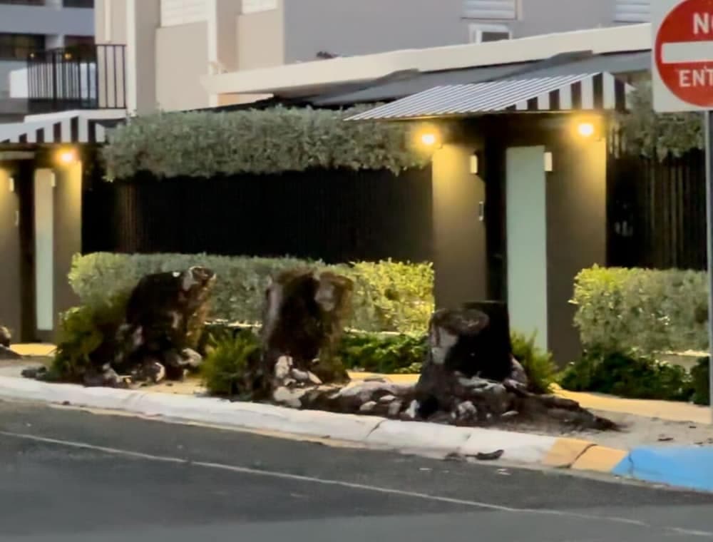 Konaklama yerinin ön cephesi