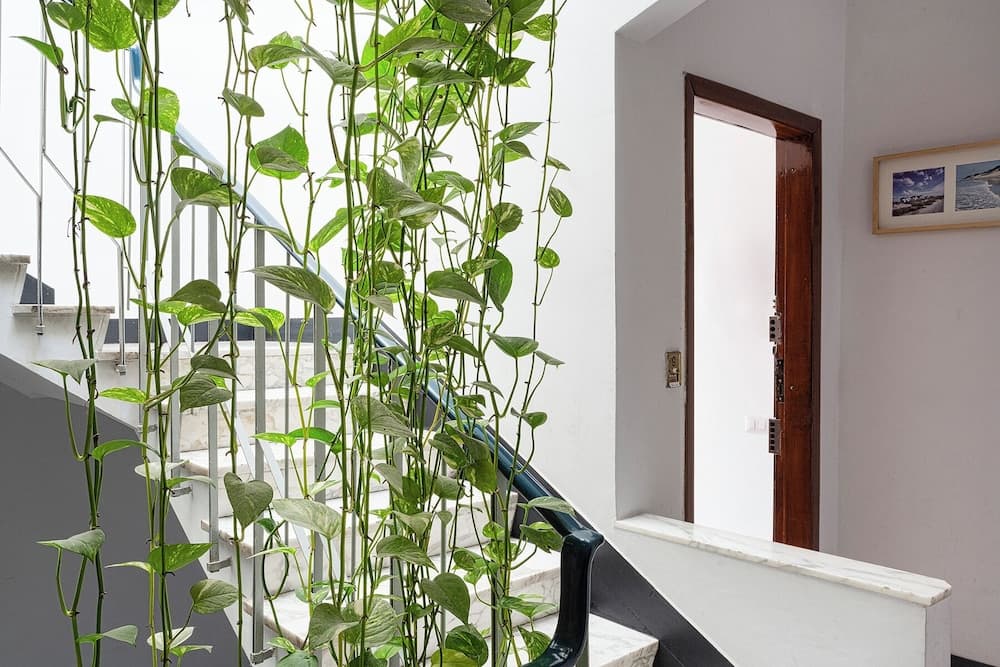 Contemporary apartment in Sturla