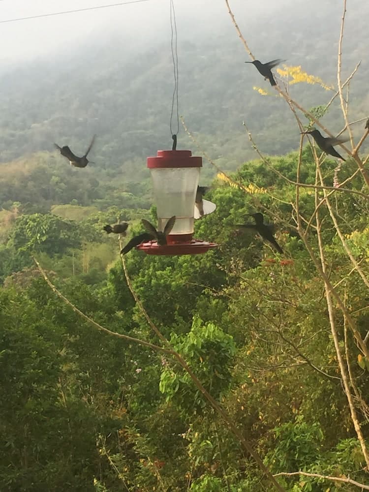 HOTEL MINCA LA CASONA