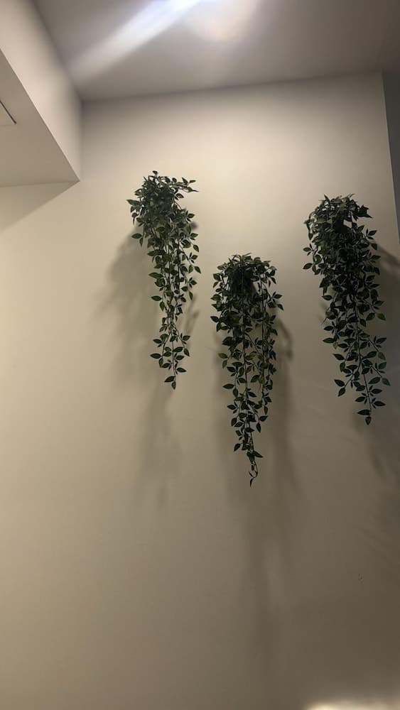 Hostal Centro de Madrid Plaza de el Sol.