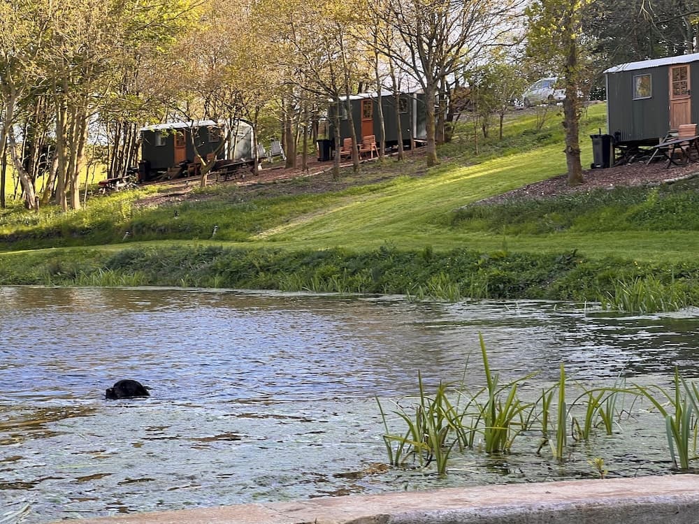 North Norfolk Glamping