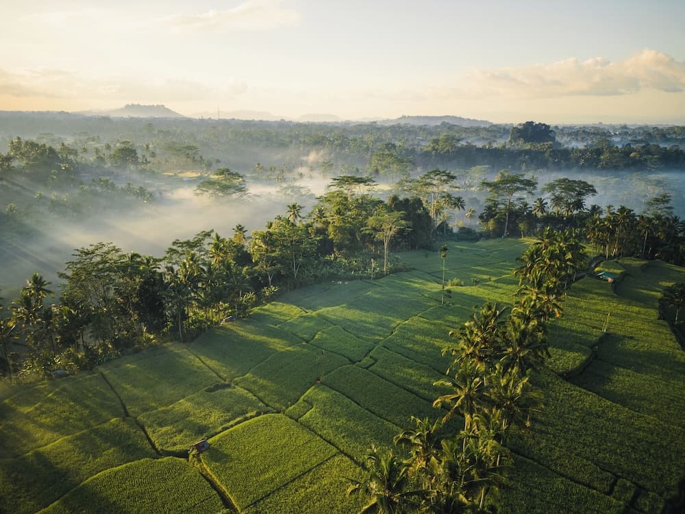 Ubud Mas Glamping Luxury Tent
