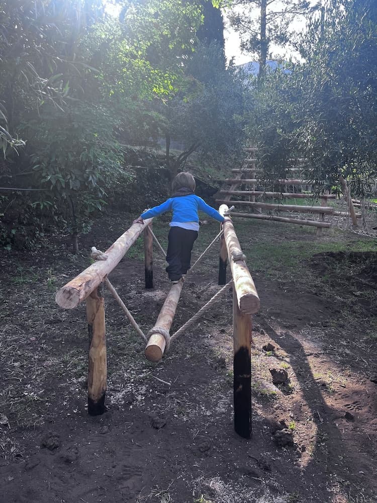 Barbekü/piknik alanı