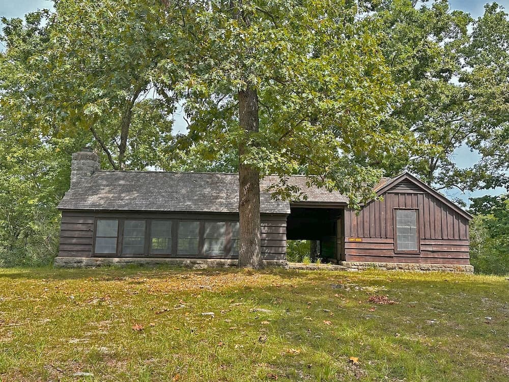 Pin Oak