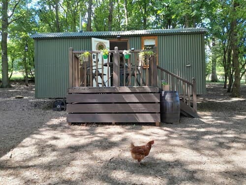 Little Greenwood Shepherd Hut - Sleeps 2