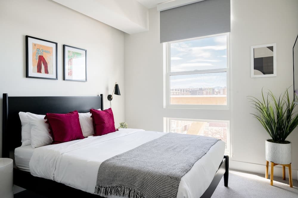 Serenity in Style | Espadin LoHi