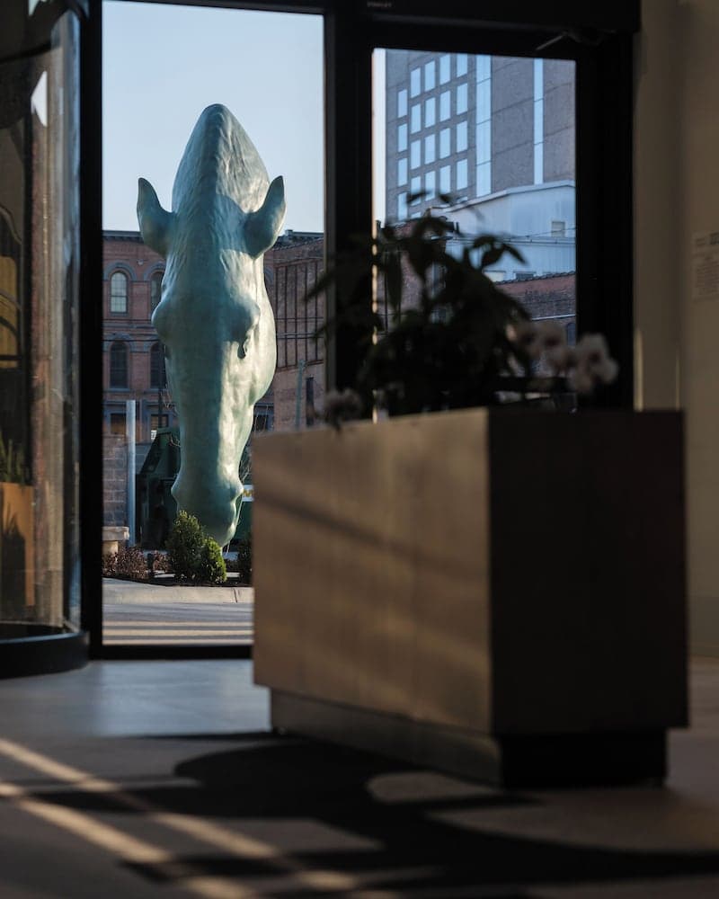 Lobi