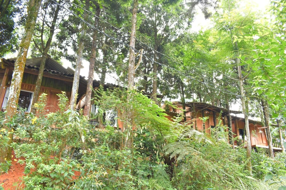Sapa Jungle