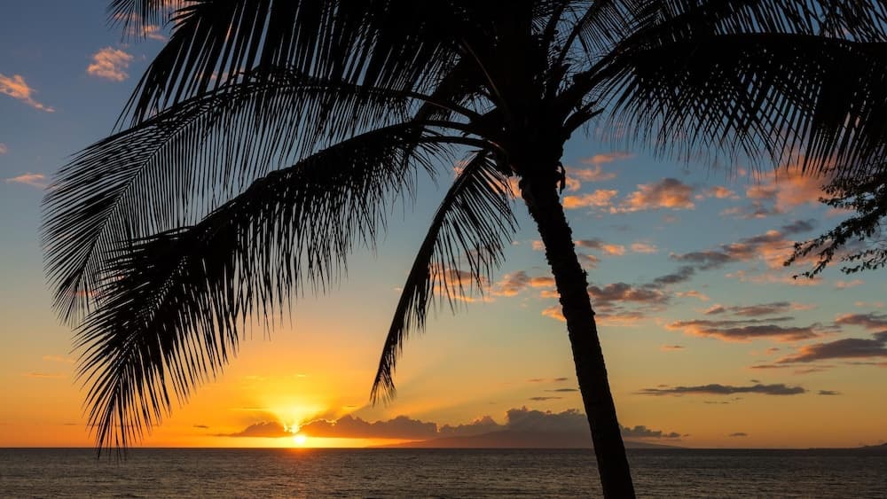 Kaanapali Shores 548