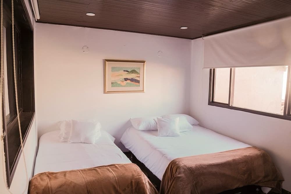 ART AND VITALITY HOUSE