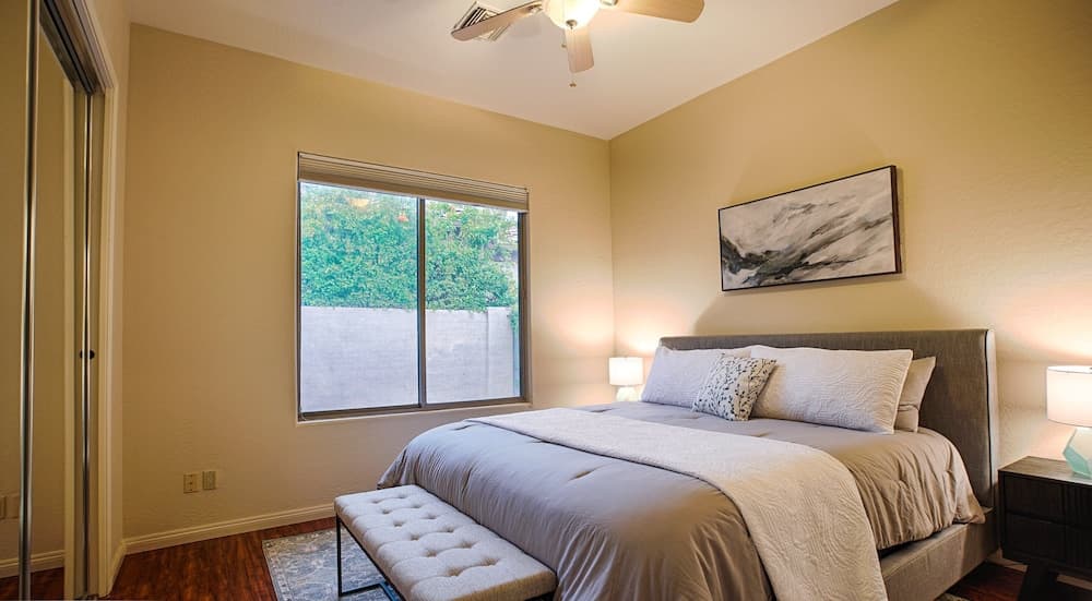 Lynx Chandler/ocotillo