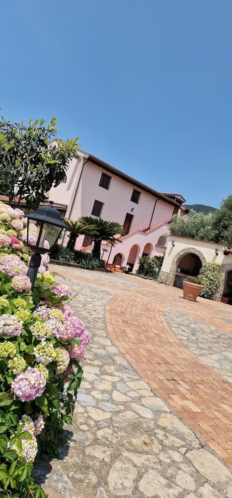 Tenuta D'Arienzo