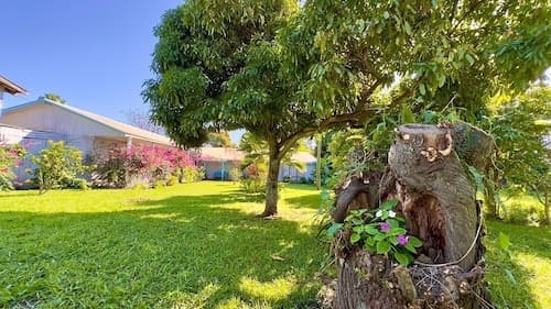 Kahina Lodge