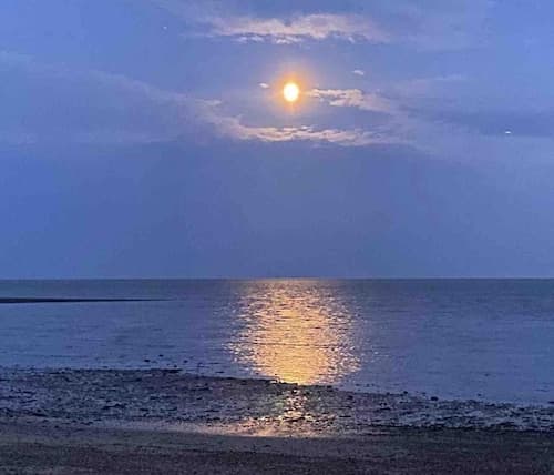 Mersea Island Retreat - 4 Bedroom House
