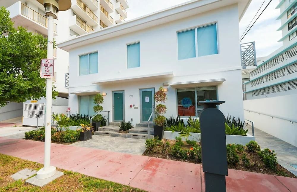 Agave on the Beach by Renzzi