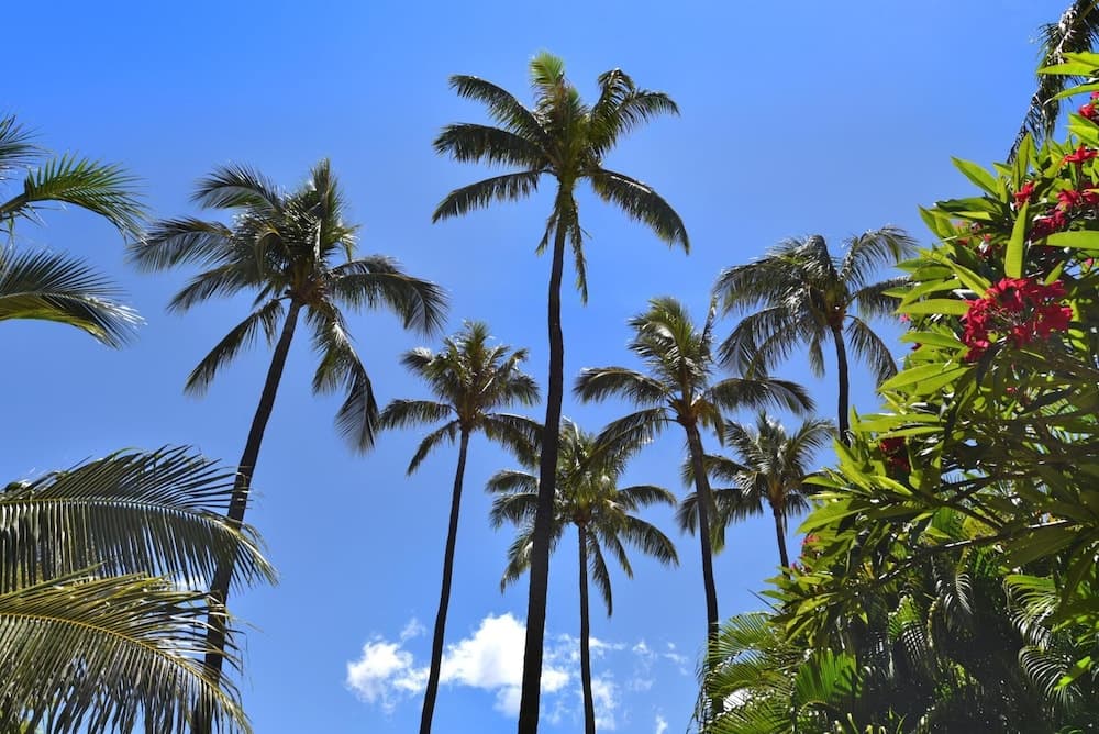 Maui Kaanapali Villas MKV-B242 by KBM