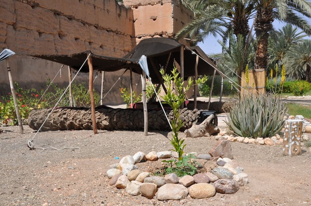 Bivouac Sous les palmiers bleus