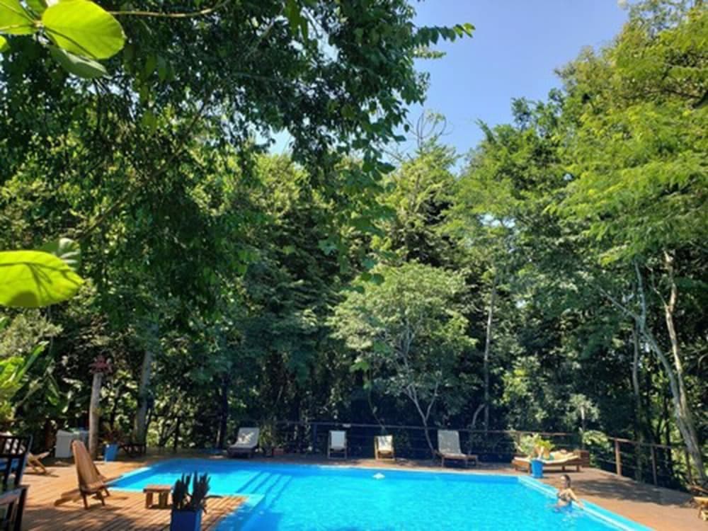 Selva de Laurel