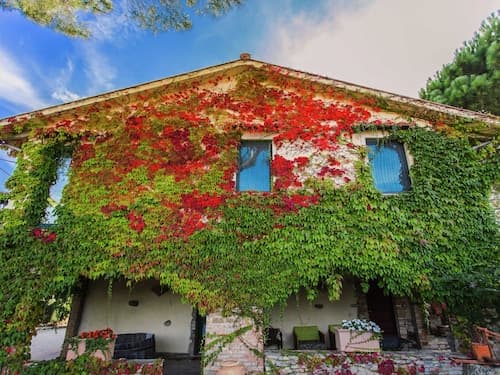 Farmhouse in Marsciano With Vineyards Olive Groves
