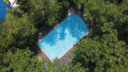 Jungle Addition