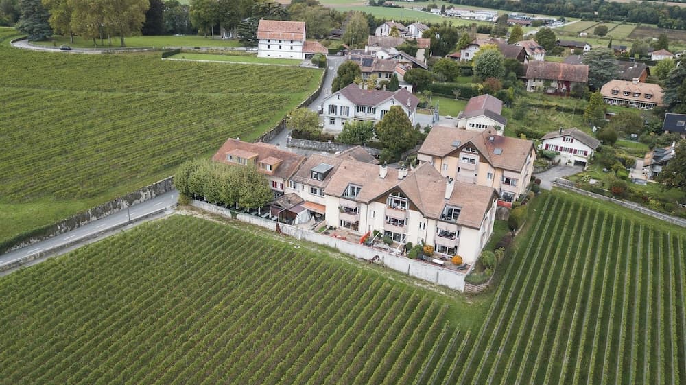 Amanthos Living Nyon