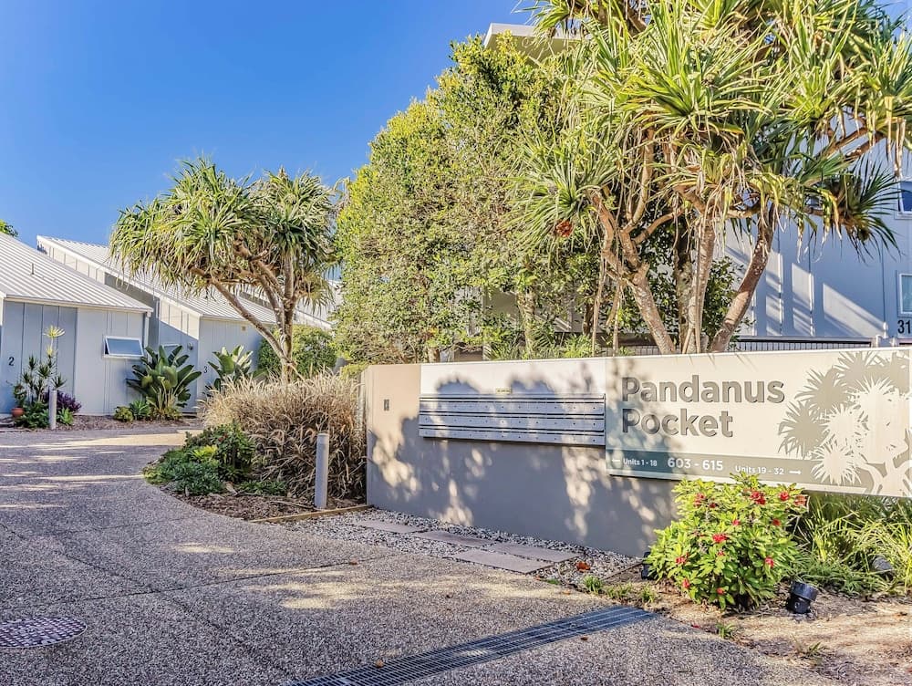 Pandanus Pocket - 13