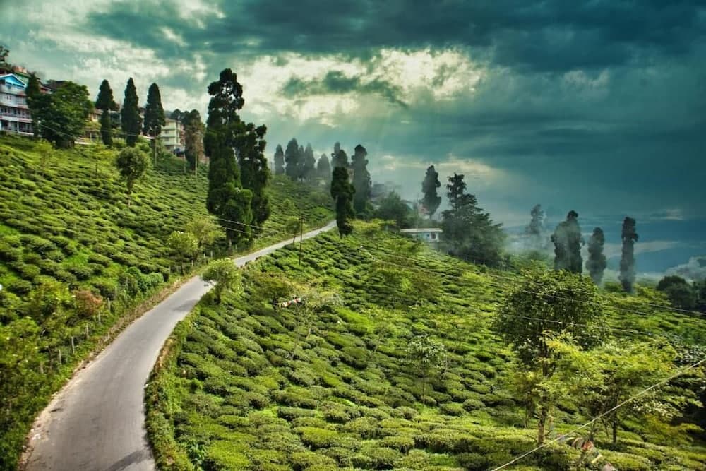 Konaklama yerinin ön cephesi