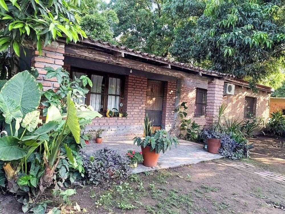 Entre Mangos y Tucanes