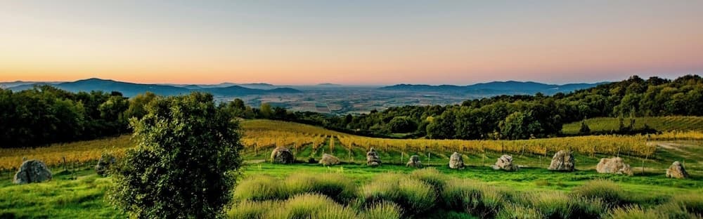 Valdonica Winery - Chill in Nature Lodge