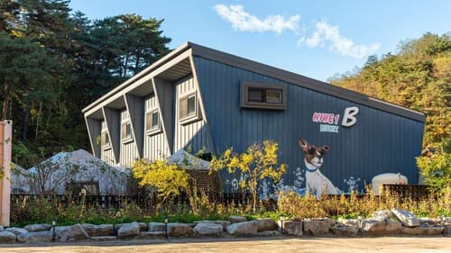Gangneung Nineone Pet Pension