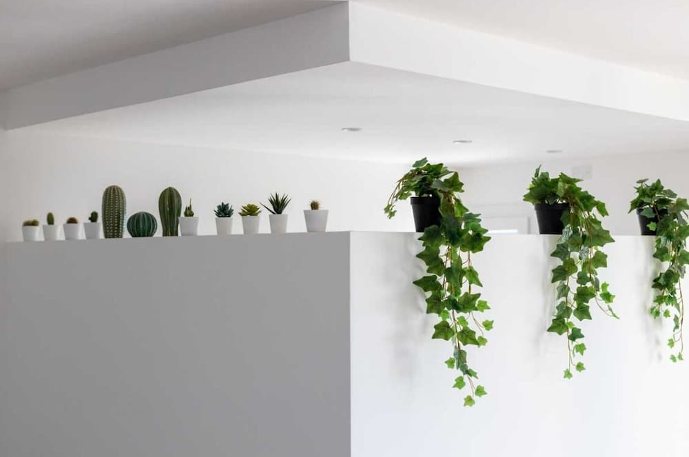 Solemar Sicilia - Villa delle Rocce