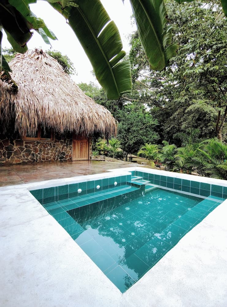 Colibri Parque Tayrona