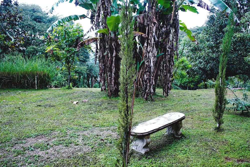 Teras/veranda