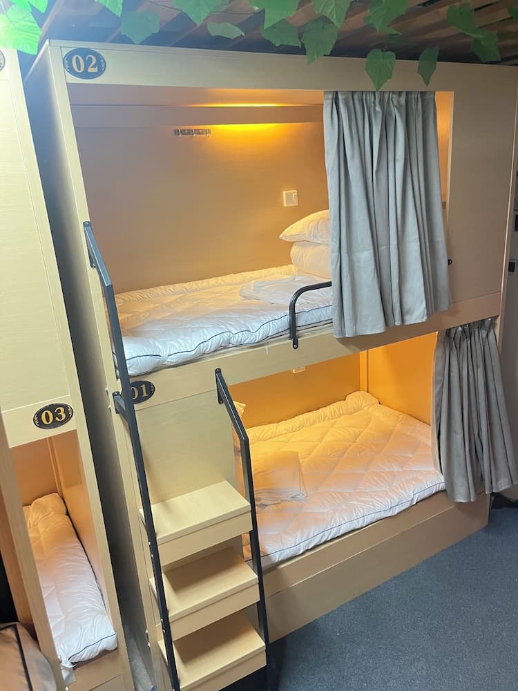 Zhihexing International Youth Hostel