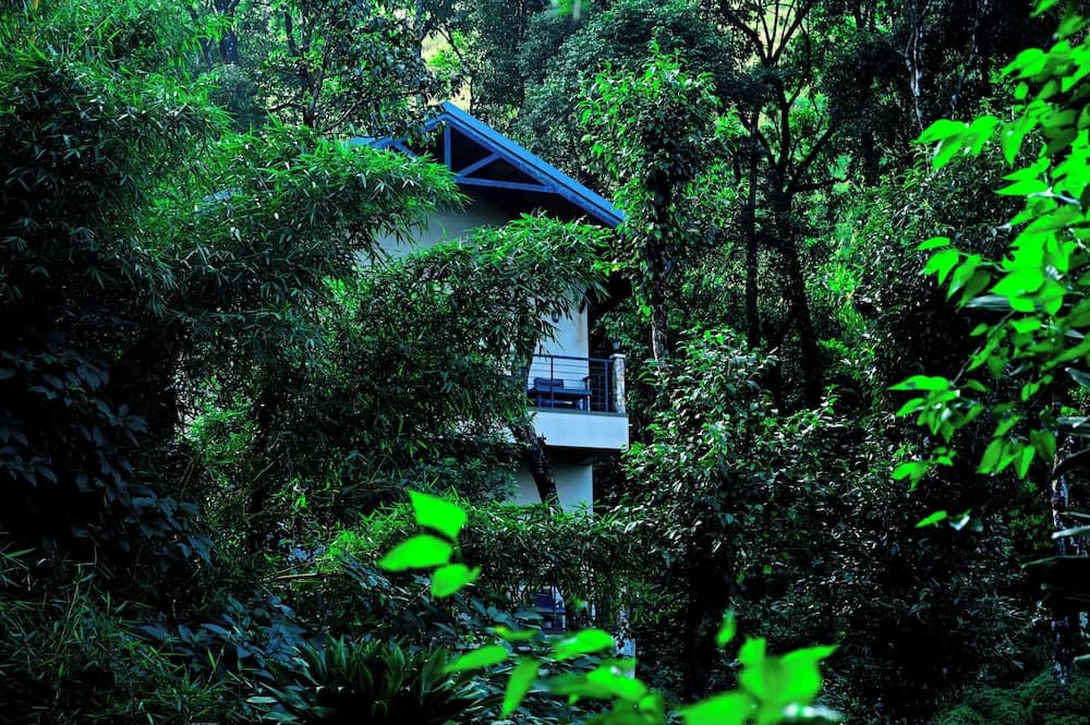 TANARYA LUXURY HOMESTAY