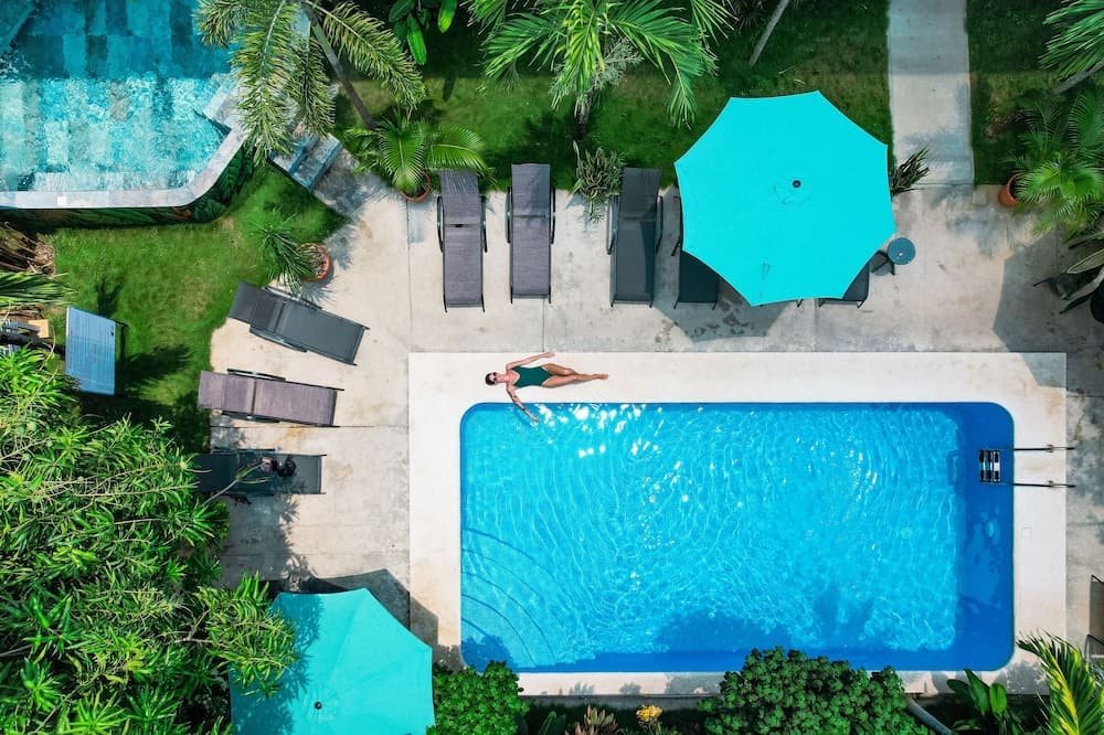 Wide Mouth Frog At Quepos