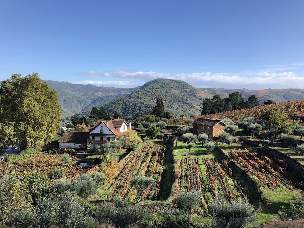 Quinta Vila Rachel