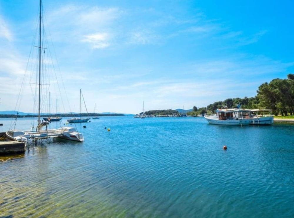 Konaklama yerinden manzara