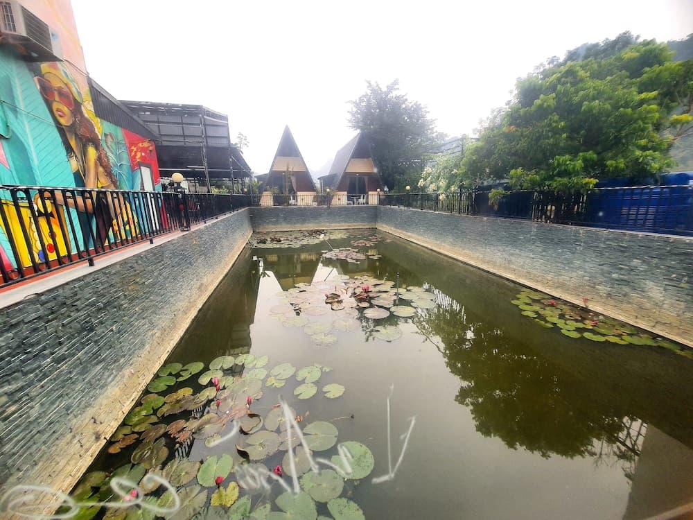 Viet Hai freedom home stay