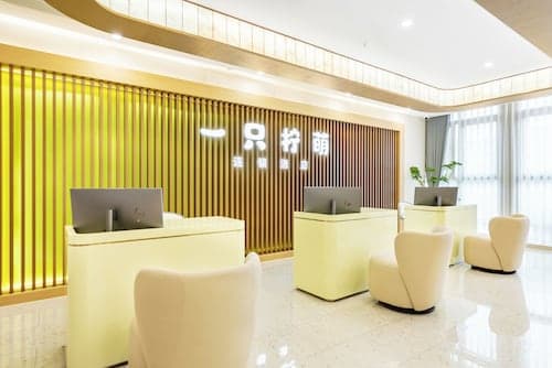 Lemon Hotel-Hangzhou Fengqi Road