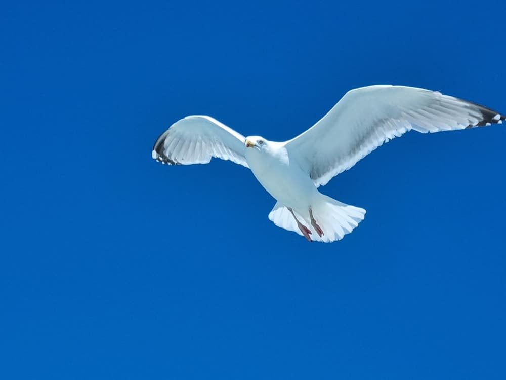 Konaklama yerinden manzara