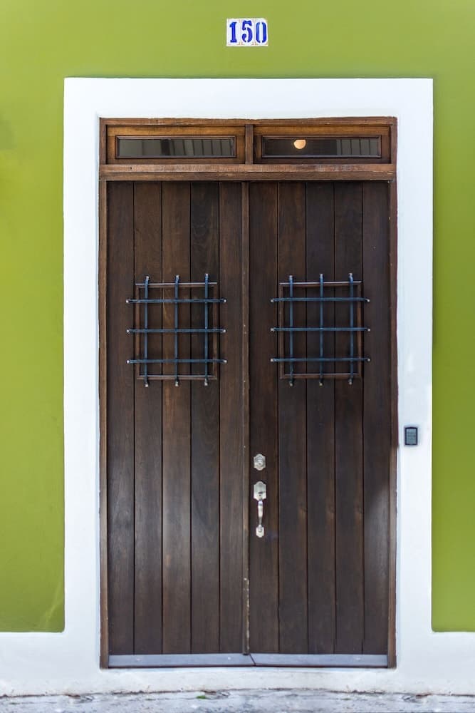 150 Sol by Stay with Bear