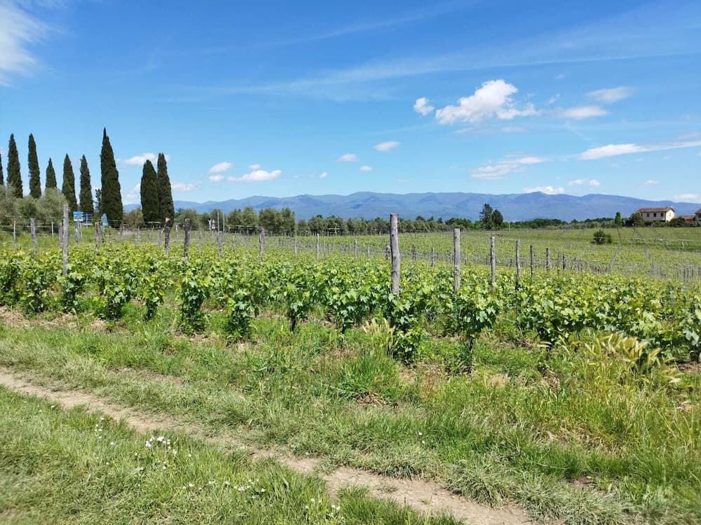 Agriturismo Tenuta San Jacopo