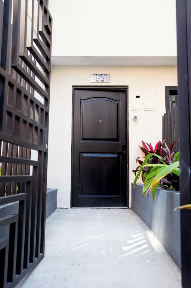 kasa Cactus Laureles